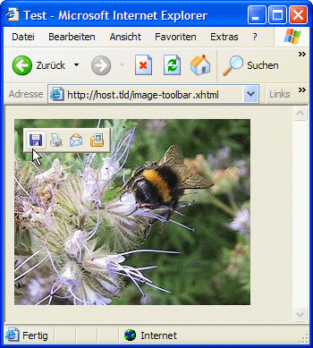 Screenshot: über einer Grafik wurde vom Internet Explorer 6 die Image Toolbar mit vier Buttons eingeblendet.